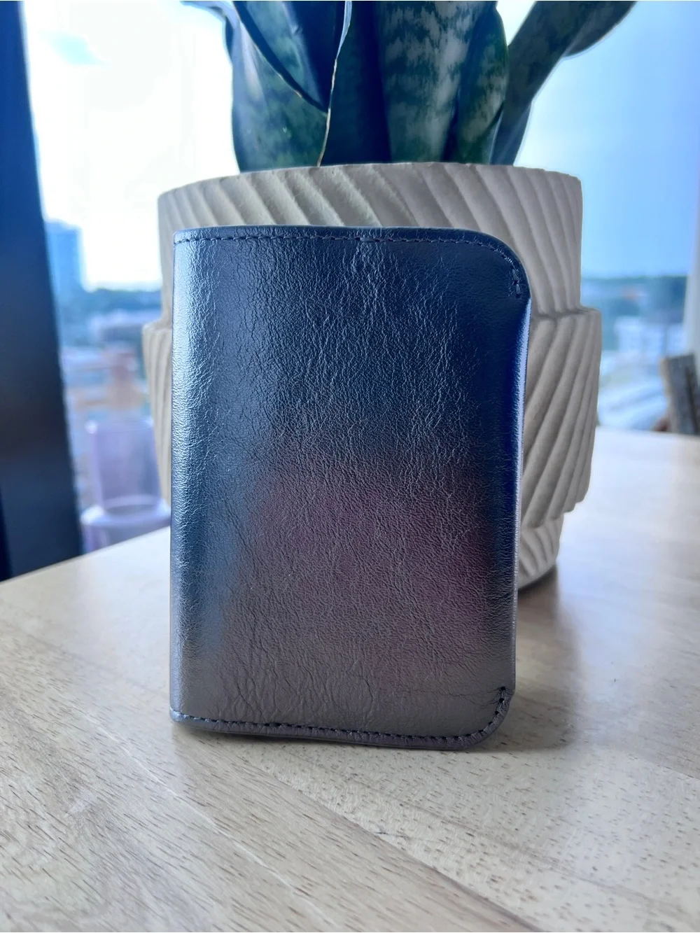 Cuyana Silver Leather Passport Case